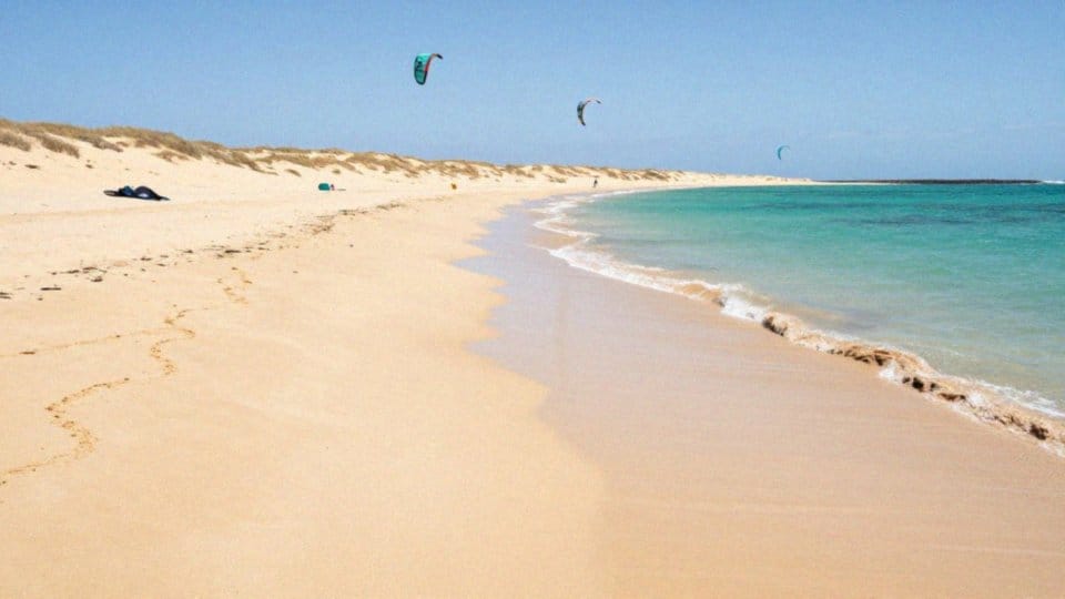 Jakie sporty wodne oferuje Playa Sotavento?