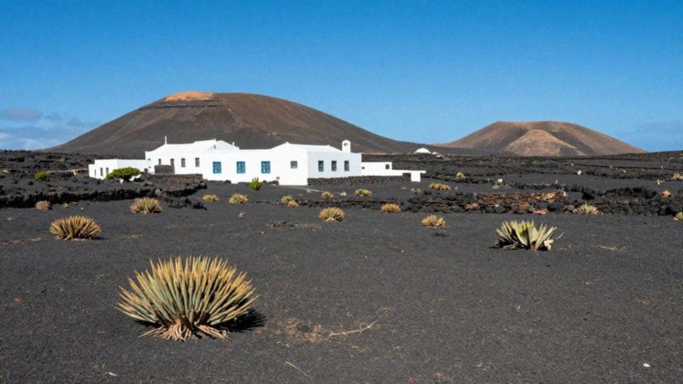 Czy Teneryfa jest cieplejsza od Lanzarote?