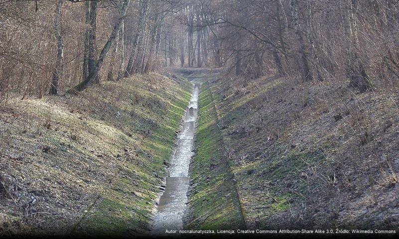 Bałutka