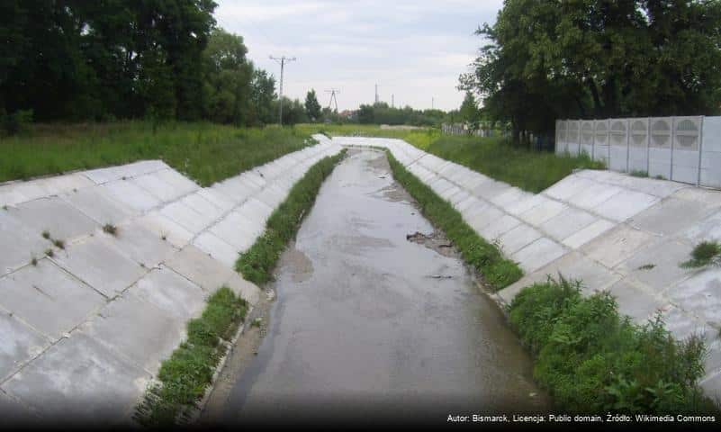 Jasień (dopływ Neru)