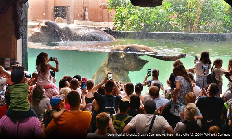 Miejski Ogród Zoologiczny w Łodzi