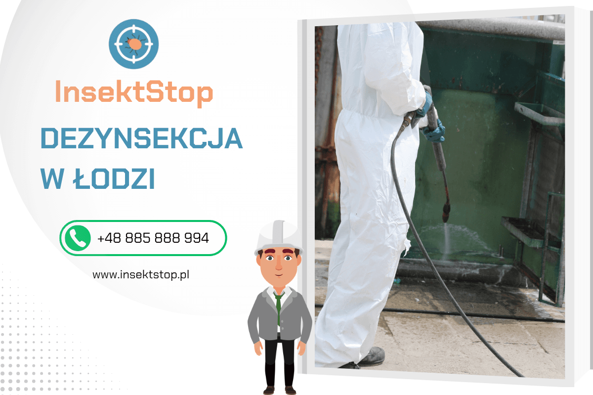 dezynsekcja łódź