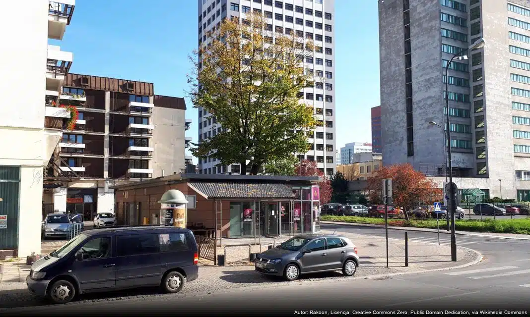 Klub Master Łódź z sukcesami na Pucharze Polski w sumo